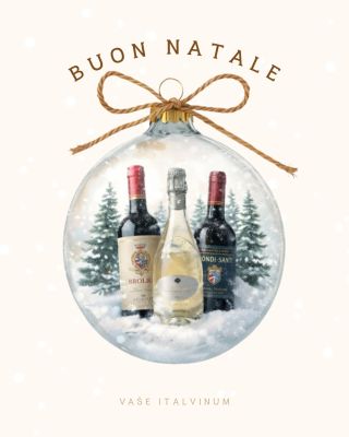 Prajeme vám pokojné Vianoce plné radosti, pokoja a chvíľ s tými, na ktorých záleží. Vaše Italvinum 🎄🥂❤️